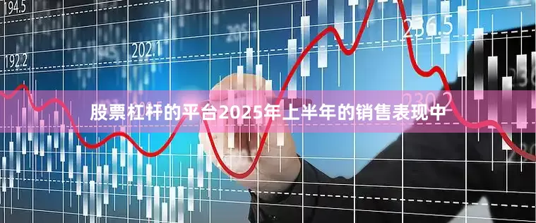 股票杠杆的平台2025年上半年的销售表现中