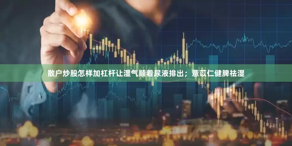 散户炒股怎样加杠杆让湿气顺着尿液排出；薏苡仁健脾祛湿